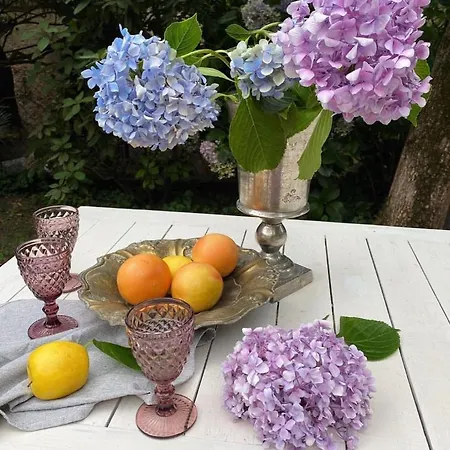 Il Giardino Segreto * Arona