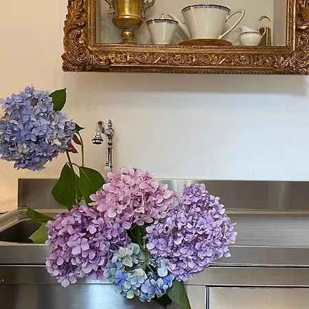 Apartment Il Giardino Segreto Arona, Charming