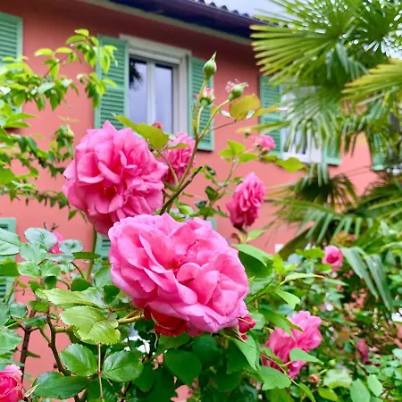 Il Giardino Segreto Arona, Charming アパート *