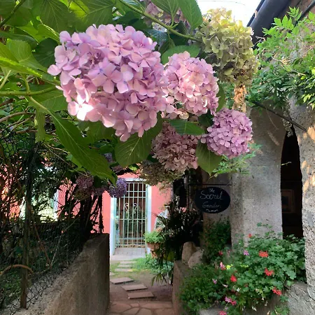 アパート Il Giardino Segreto Arona, Charming アローナ