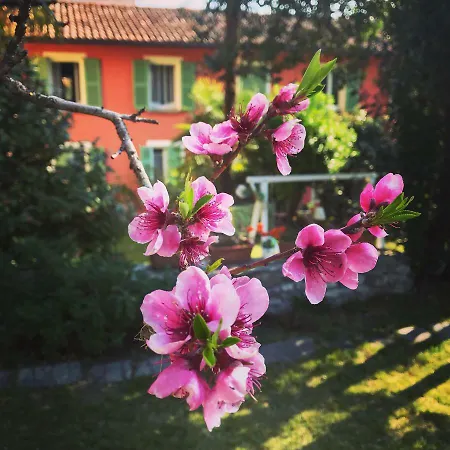 Il Giardino Segreto * Arona