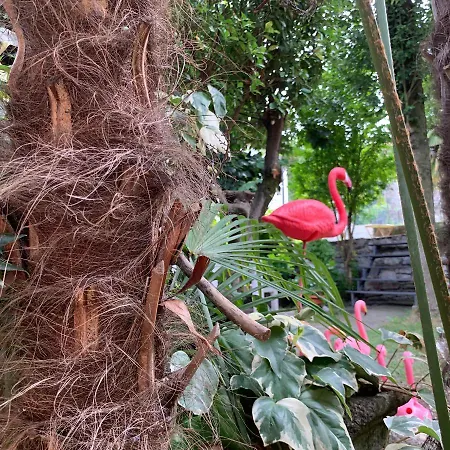 Il Giardino Segreto Arona, Charming 阿罗纳