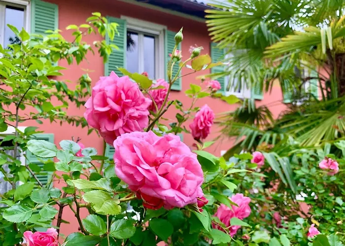 Il Giardino Segreto Arona, Charming アパート *