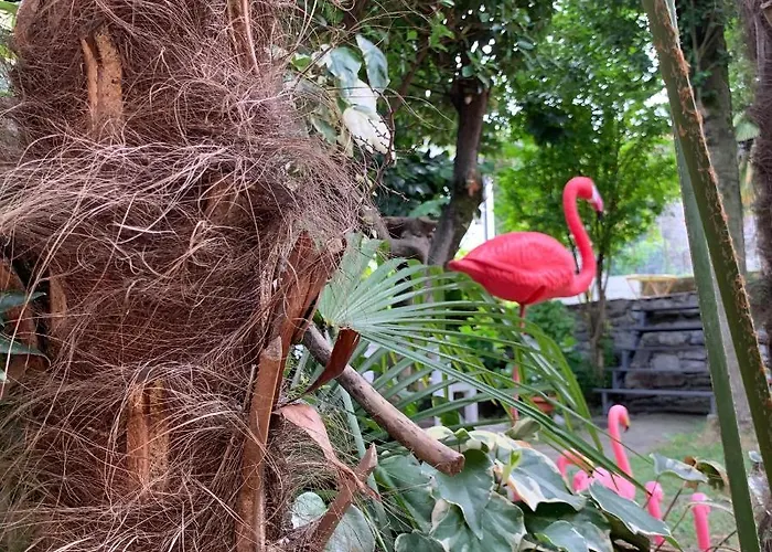 Il Giardino Segreto Arona, Charming アローナ